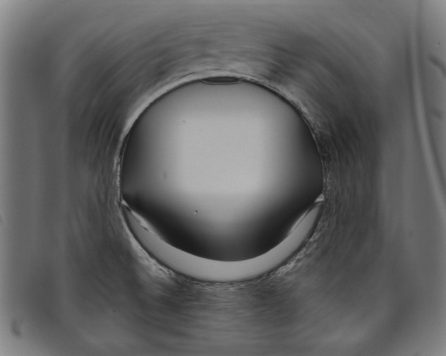 X0000097751524200804041051