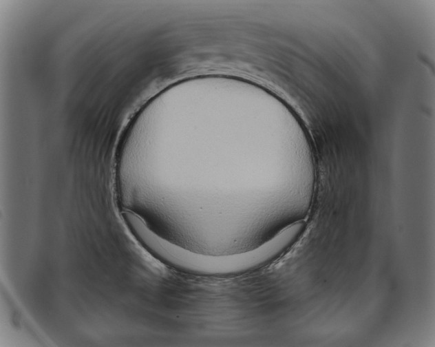 X0000097751525200804041051