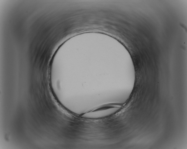 X0000097751526200804041051