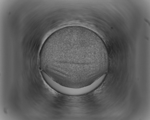 X0000097751527200804041051