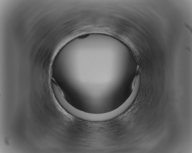 X0000097751528200804041051