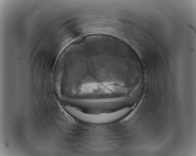 X0000097751529200804041051