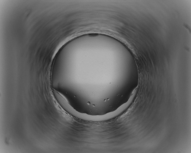 X0000097751530200804041051