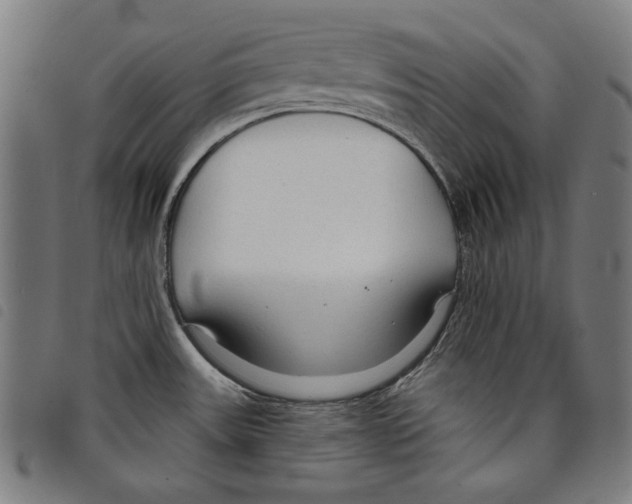 X0000097751531200804041051