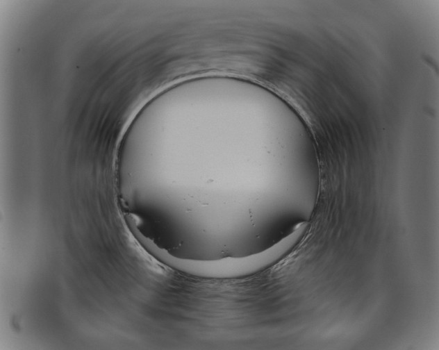 X0000097751532200804041051