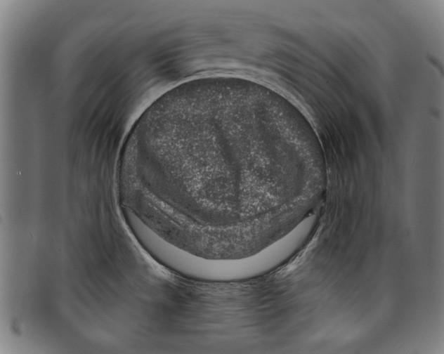 X0000097751533200804041051