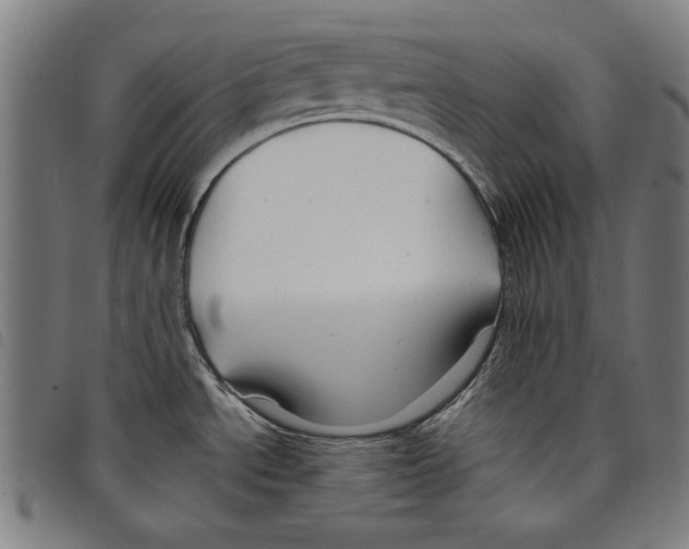 X0000097751534200804041051