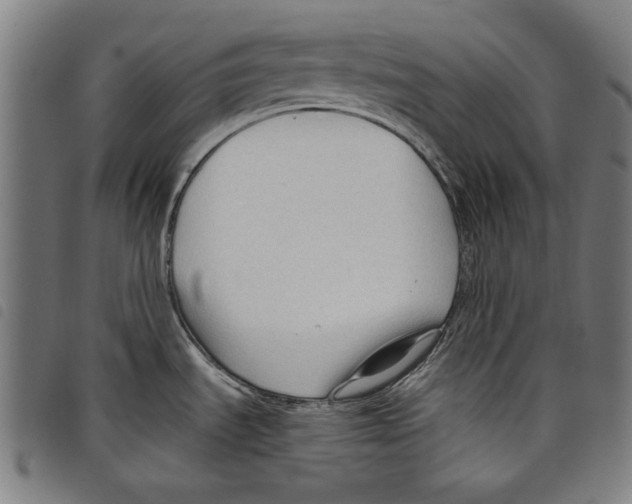 X0000097751535200804041051