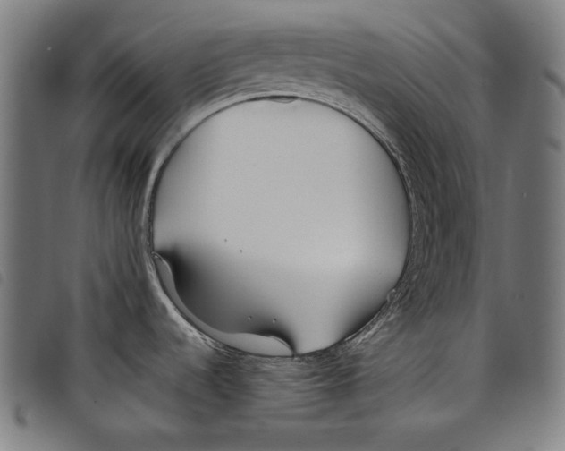 X0000097751536200804041051