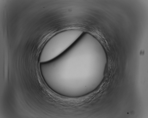 X0000097760001200803070848