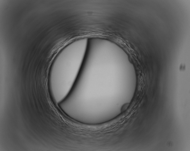X0000097760002200803070848