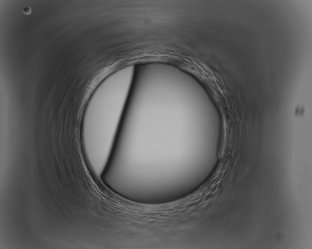 X0000097760003200803070848