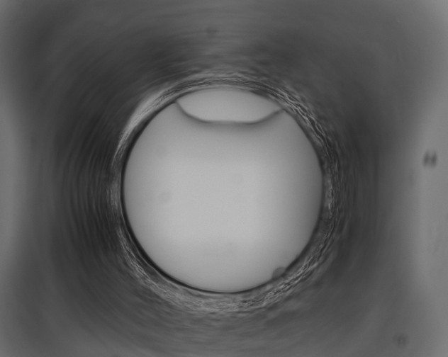 X0000097760004200803070848