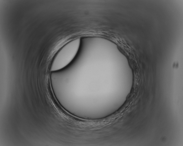 X0000097760005200803070848