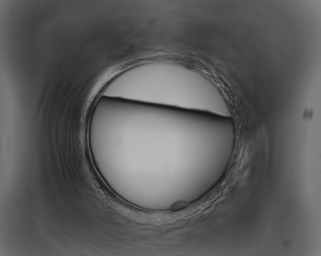 X0000097760006200803070848