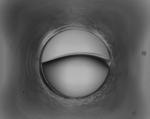 X0000097760007200803070848