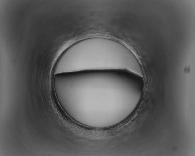 X0000097760008200803070848
