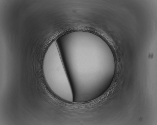 X0000097760009200803070848