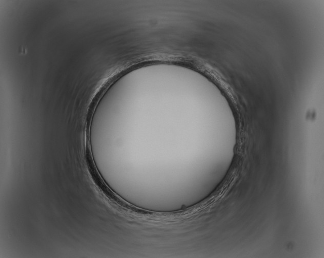 X0000097760011200803070848