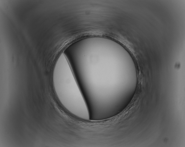 X0000097760013200803070847