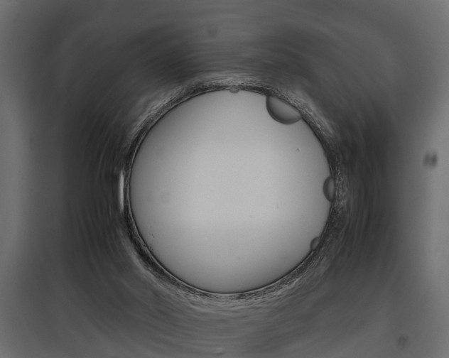 X0000097760014200803070847