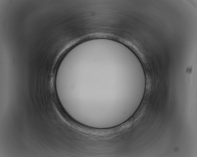 X0000097760016200803070847