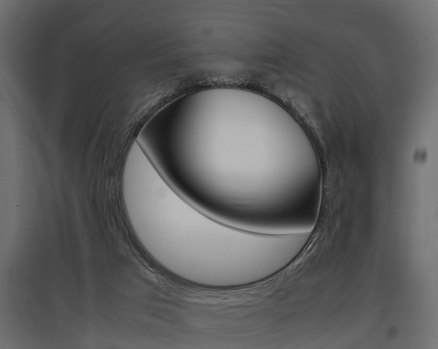 X0000097760017200803070847
