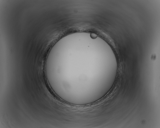 X0000097760018200803070847