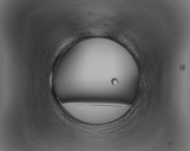 X0000097760019200803070847