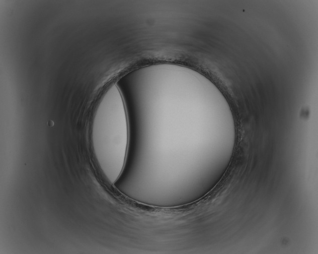 X0000097760020200803070847