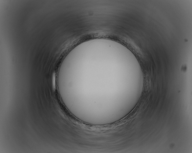 X0000097760022200803070847
