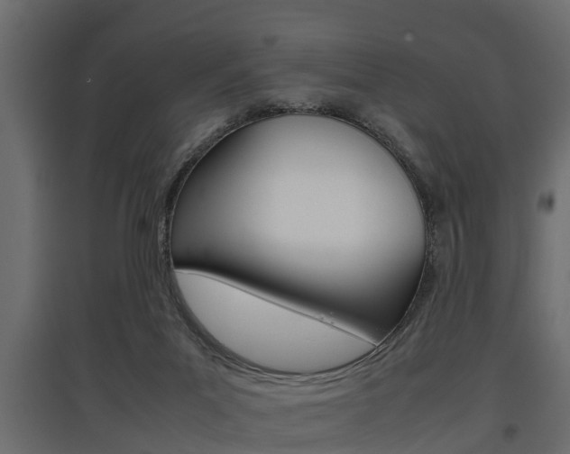 X0000097760023200803070847