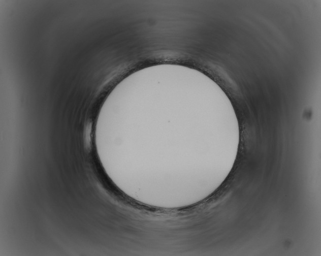 X0000097760024200803070847