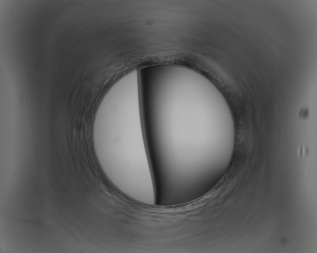 X0000097760025200803070847