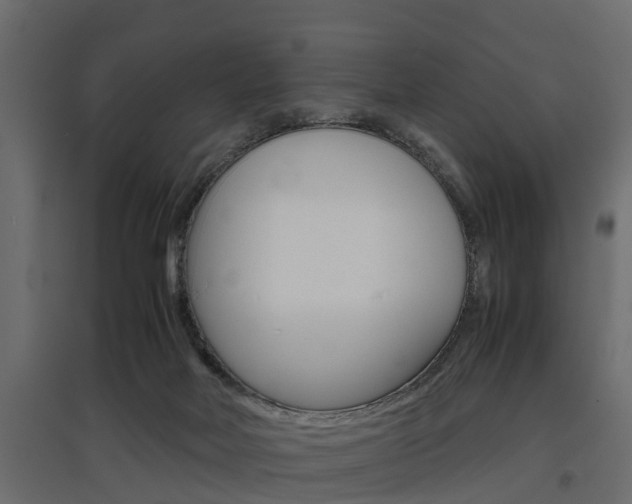X0000097760026200803070847