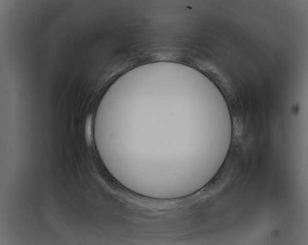 X0000097760028200803070847