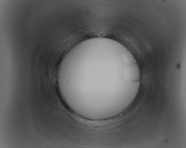 X0000097760030200803070847