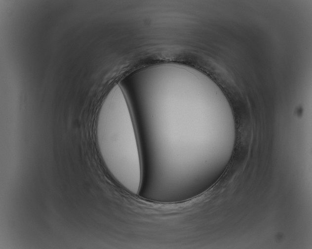 X0000097760031200803070847