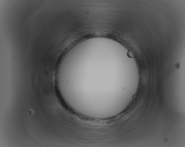 X0000097760032200803070847