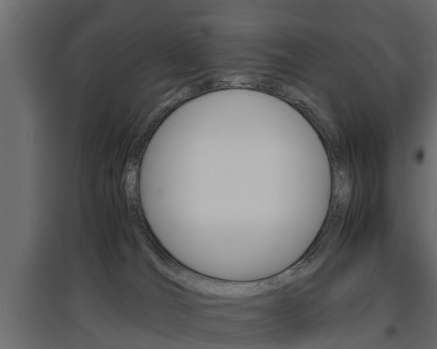 X0000097760036200803070847