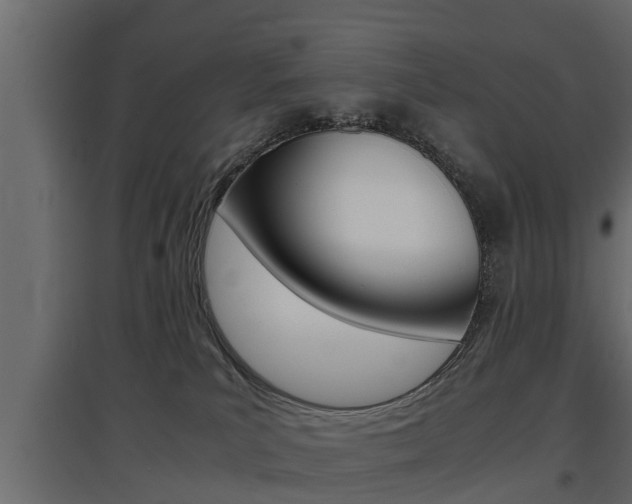 X0000097760039200803070847