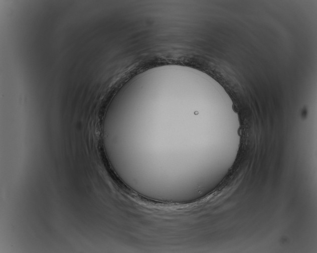 X0000097760040200803070847