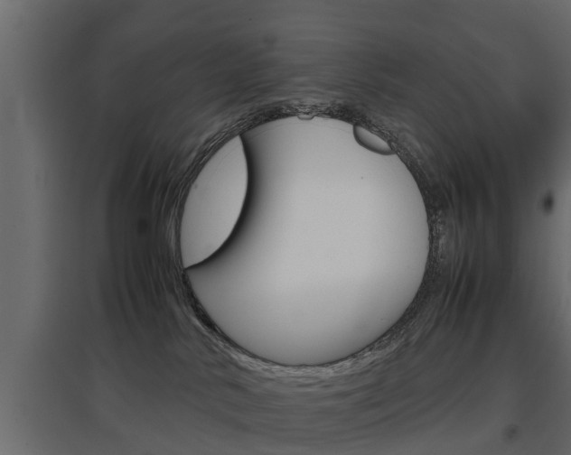 X0000097760042200803070847