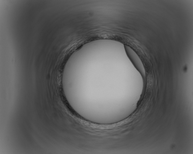 X0000097760043200803070847