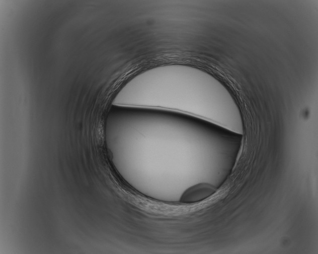 X0000097760048200803070847