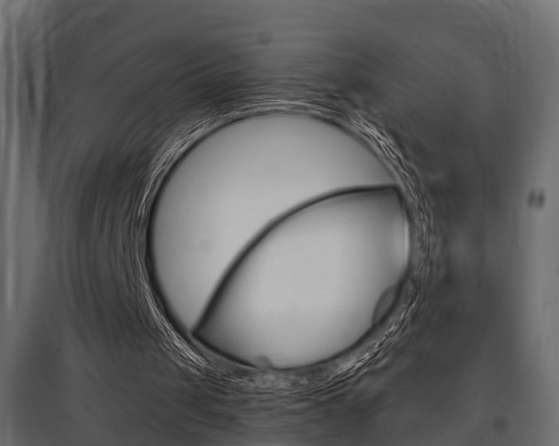 X0000097760049200803070846