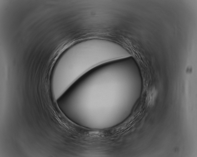 X0000097760050200803070846