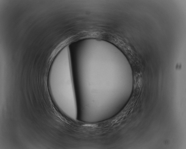 X0000097760051200803070846