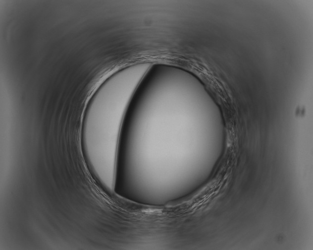 X0000097760052200803070846
