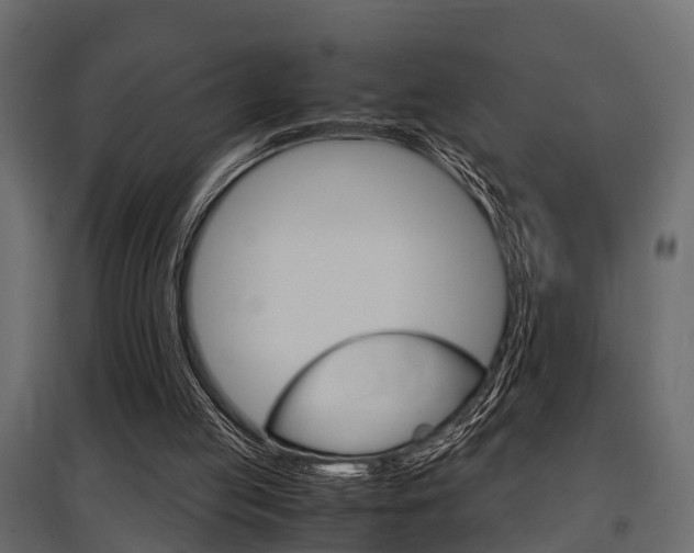 X0000097760053200803070846